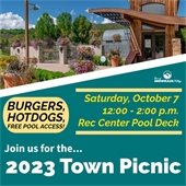 2023 Town Picnic poster